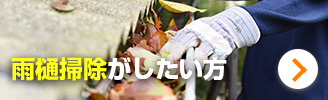 雨樋掃除がしたい方